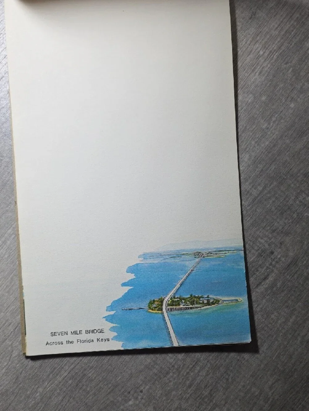 Vintage Florida Illustrated Souvenir Booklet in Yellow & Blue